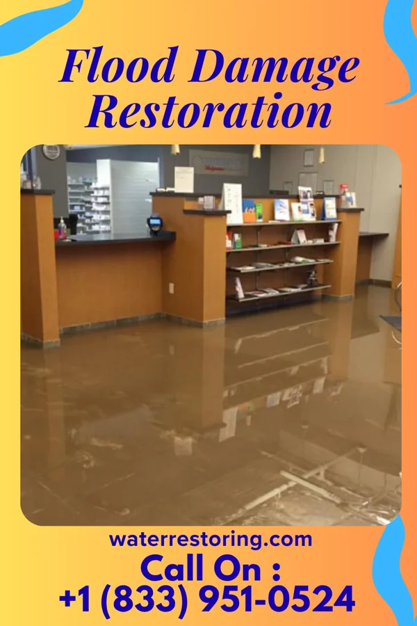 Flood Damage Restoration in Eden Valley, MN