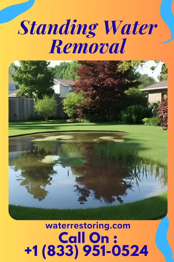 Standing Water Removal in Eden Valley, MN